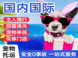 静巴空运地址国际宠物托运 【国